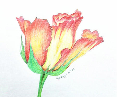 02150238_hDut.jpg
