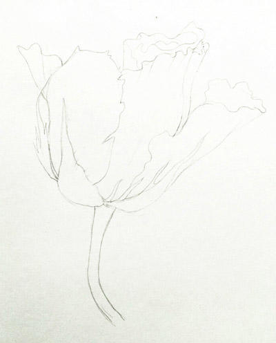 02150238_o3JN.jpg