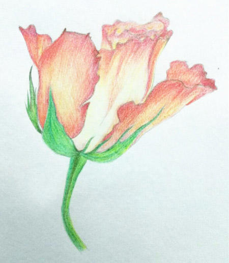 02150239_HLLi.jpg