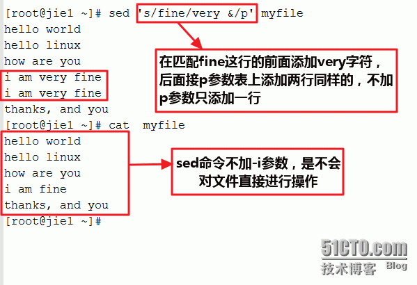 sed命令扩展 转载