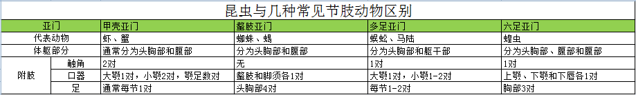 常见昆虫特征区别