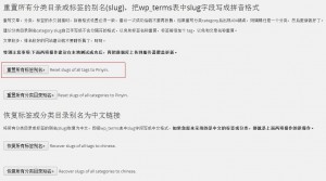 woredpress中文标签无法使用