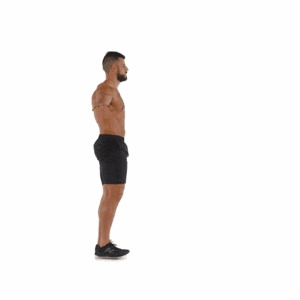 11153145_q77Q.gif
