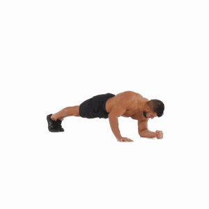 11153146_TJ1e.gif