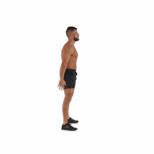 11153149_yFTD.gif