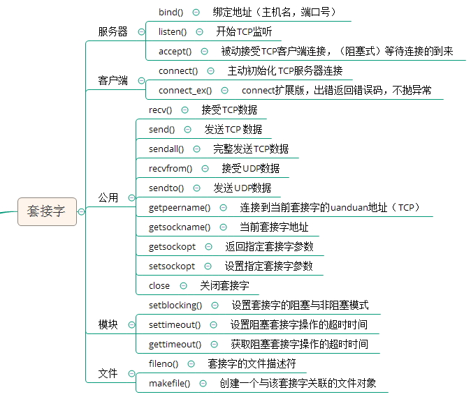 套接字