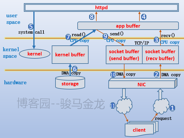 26235213_7OGn.png