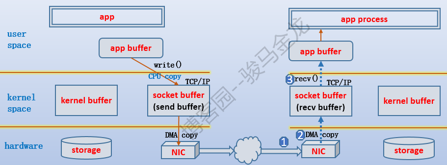 26235213_8gWF.png