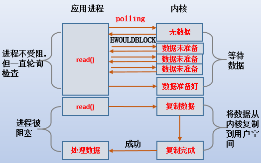 26235214_FhE2.png