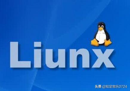 Linux环境下编程有哪些优势？ 