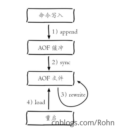 Redis基础：持久化  