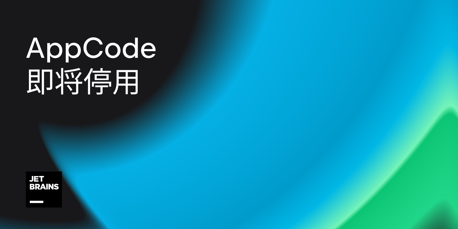 AppCode 2022.3 发布以及停止销售和支持