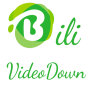 BiliVideoDown