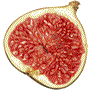 Fig