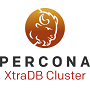Percona XtraDB Cluster logo Percona XtraDB Cluster logo