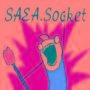 SAEA.Socket