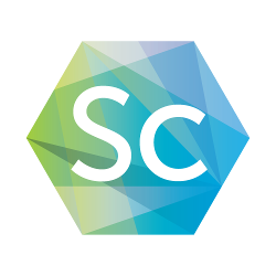 高可扩展实时引擎 SocketCluster