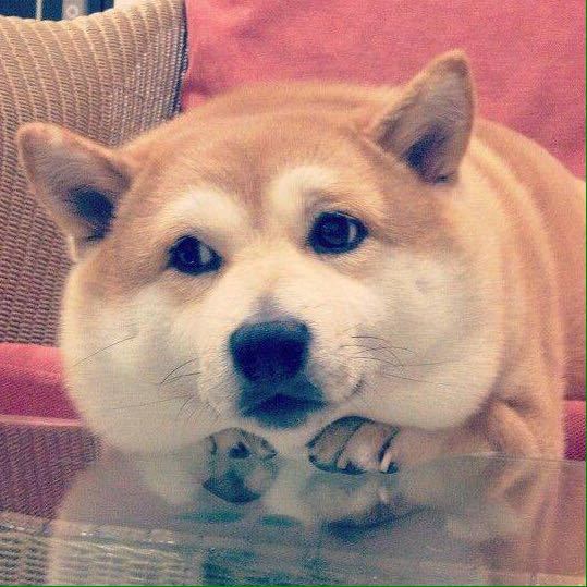 195243_1mEZ_1428332.jpeg