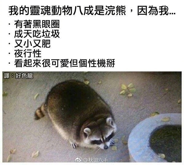 205907_kStH_1428332.jpg