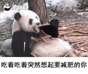 155050_eKy6_347223.gif