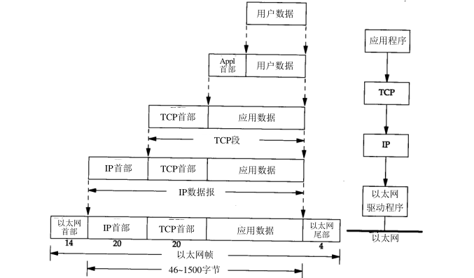 TCP协议 