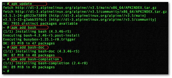 在alpine Linux 中安装bash Shell 滴滴滴 博客园