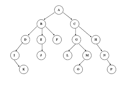 PHP数据结构与算法：树 