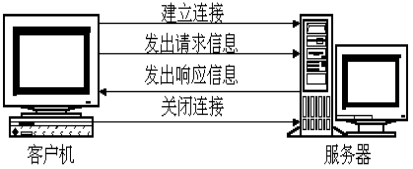 215512_niaP_2427074.png