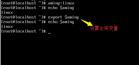 091625_Xoup_3803405.png