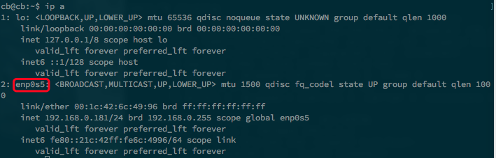 ubuntu 18.04 server设置静态IP 