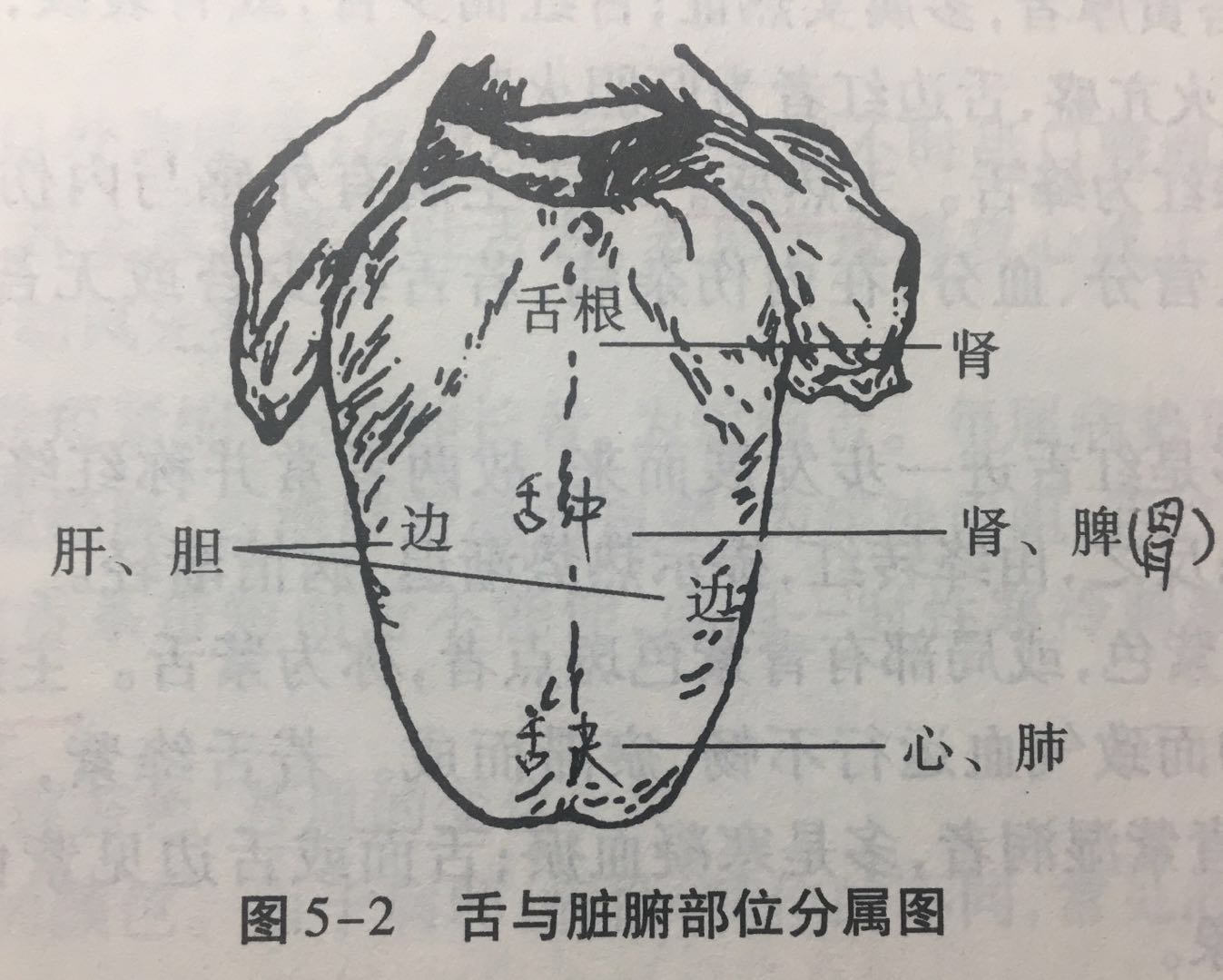 中醫學5診法