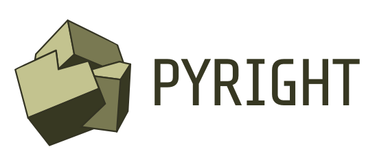 Python 静态类型检查工具 Pyright