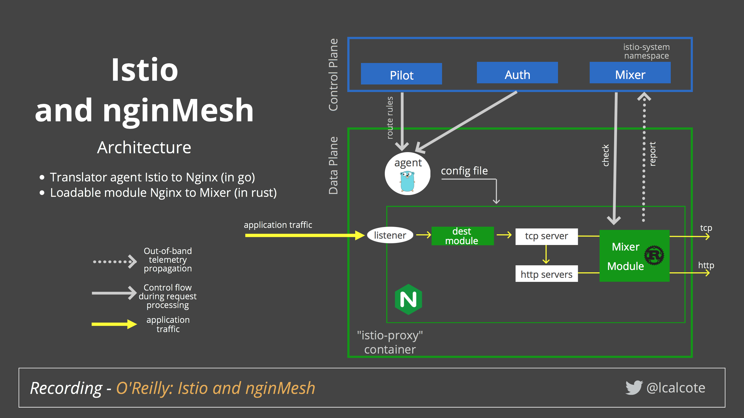 Nginx agent. Архитектура Istio. Nginx Интерфейс. Istio proxy. Istio схема.