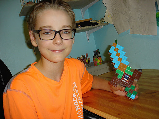 13 岁小男孩构建了一个 RISC-V 内核