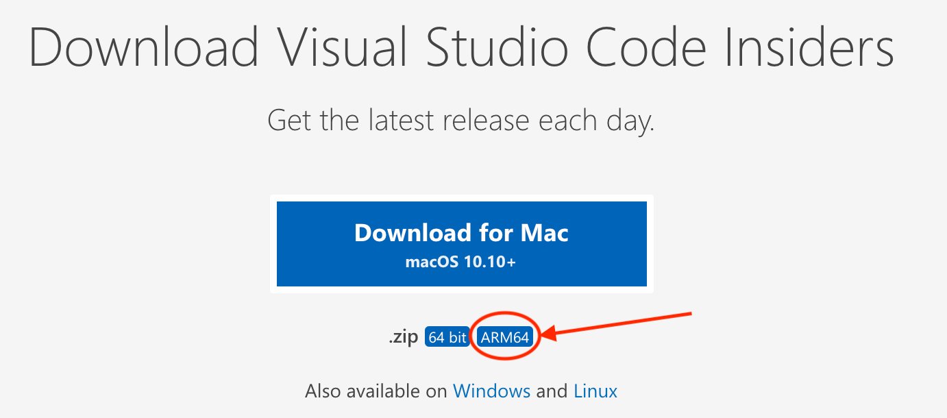 Visual Studio Code Insiders 已原生支持 Apple Silicon