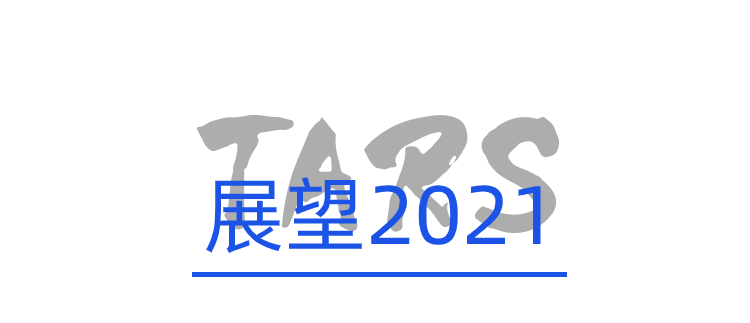 TARS 基金会 2020 年度报告