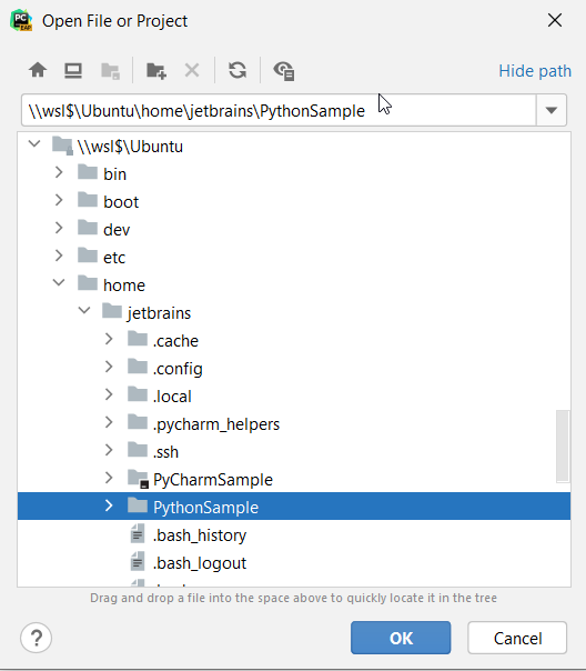 PyCharm 2021.1 EAP 4 发布，支持 WSL 2 和更快的索引