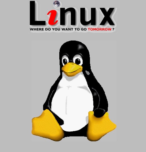 Linux 30 岁了，你了解它的吉祥物企鹅 