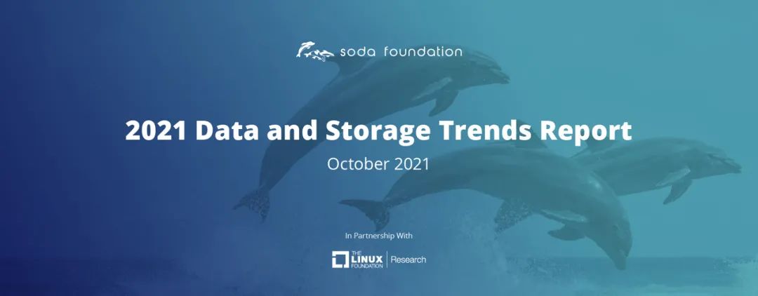 2021 数据和存储趋势报告