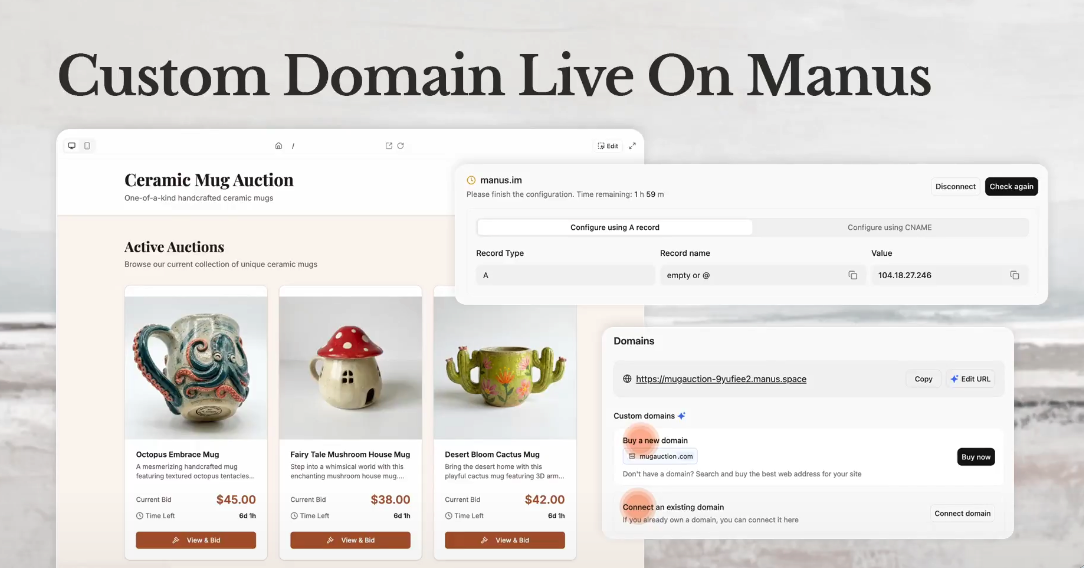 Manus 正式上线自定义域名功能