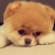 dj_归去来兮 dj_归去来兮