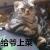 程序猿CSQ 程序猿CSQ