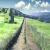 pk_20140716
