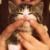 O龙猫O O龙猫O