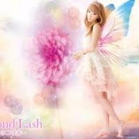wlsh