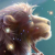 流水无痕Leo 流水无痕Leo