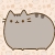 Allen_Leong