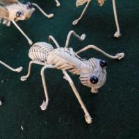 kxuehen