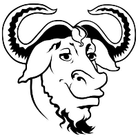 鲜衣怒马gnu