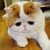 俺又不乱来 俺又不乱来